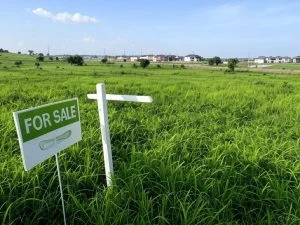 Land Banking Investment Process