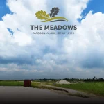 THE MEADOWS BY PALTON MORGAN
