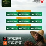 Palmrich Farm Ilaro by Assetrise