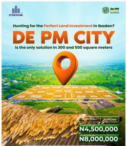 De PM City Ibadan flier 1